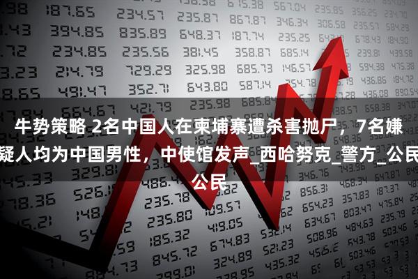 牛势策略 2名中国人在柬埔寨遭杀害抛尸，7名嫌疑人均为中国男性，中使馆发声_西哈努克_警方_公民