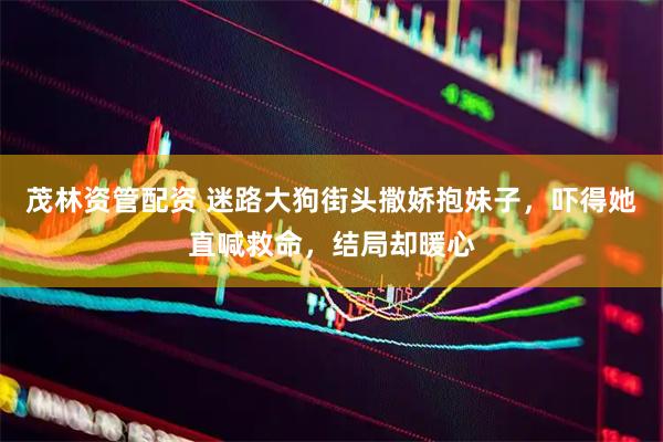 茂林资管配资 迷路大狗街头撒娇抱妹子，吓得她直喊救命，结局却暖心